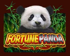 PUSSY888 game-fortune-panda